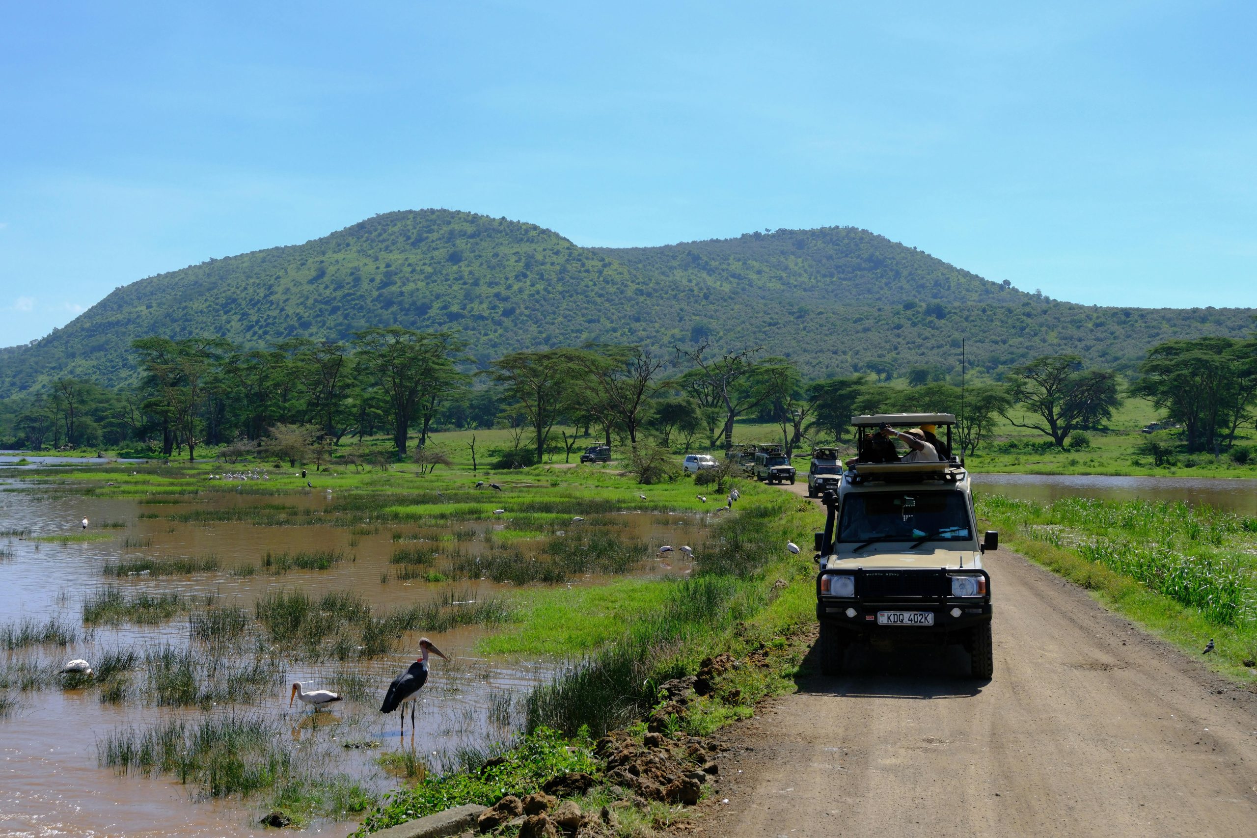 Explore the stunning landscapes and wildlife of Nakuru, Kenya with safari vehicles. Discover African beauty.